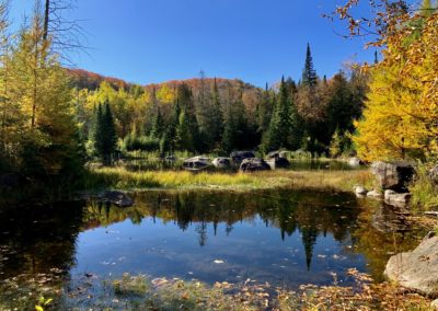 Lac des Bécassines en automne